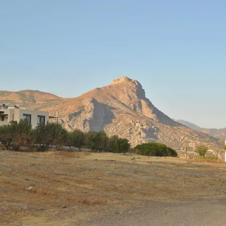 Terra Skouros *